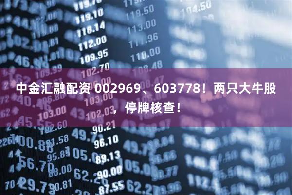 中金汇融配资 002969、603778!两只大牛股,停牌核查!