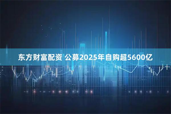 东方财富配资 公募2025年自购超5600亿